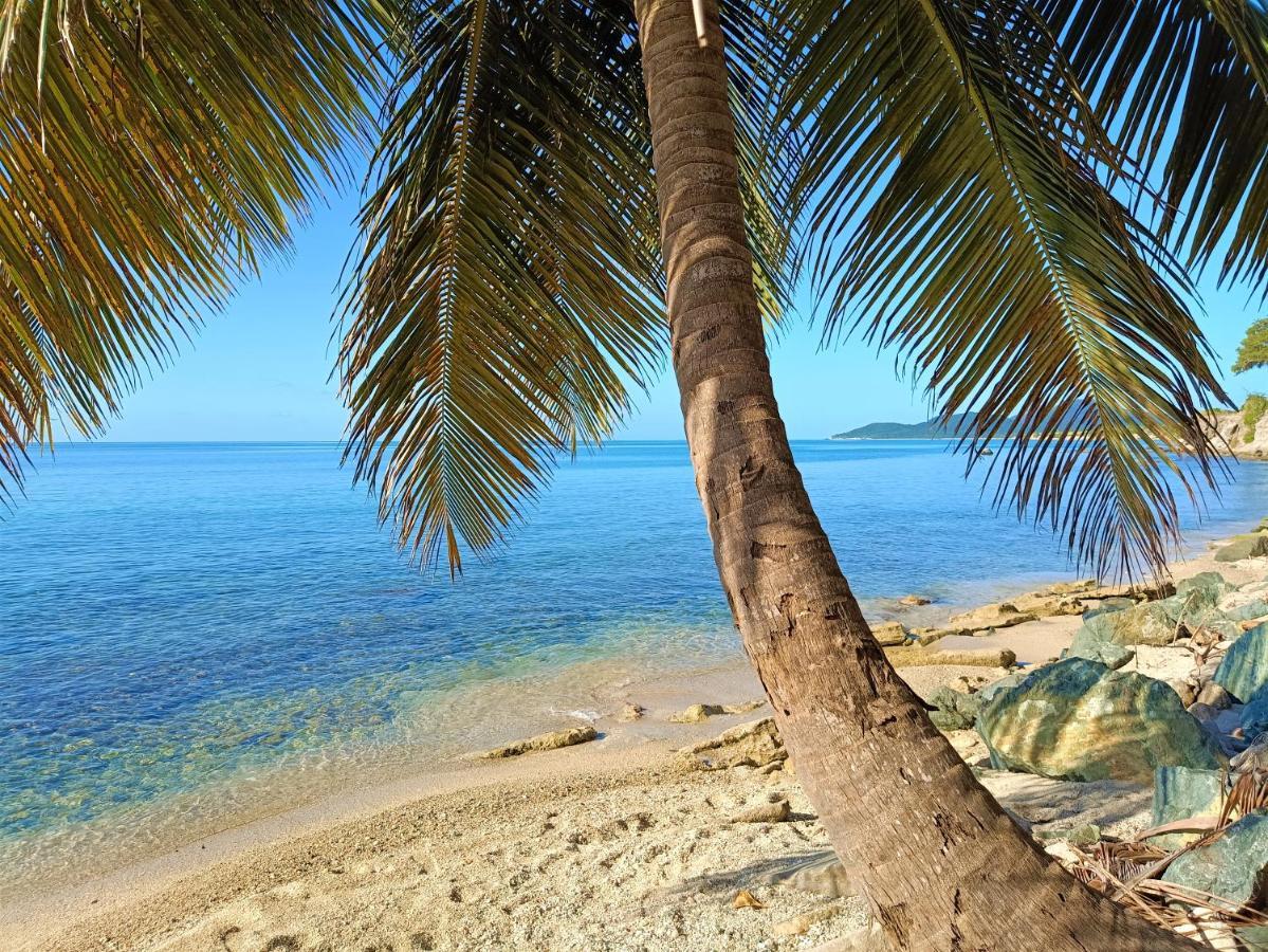 Waterside Inn Vieques Bagian luar foto